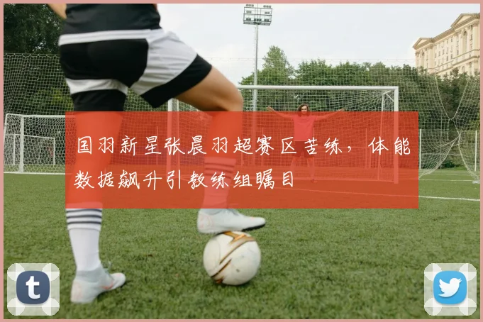 国羽新星张晨羽超赛区苦练，体能数据飙升引教练组瞩目 - 球天下体育