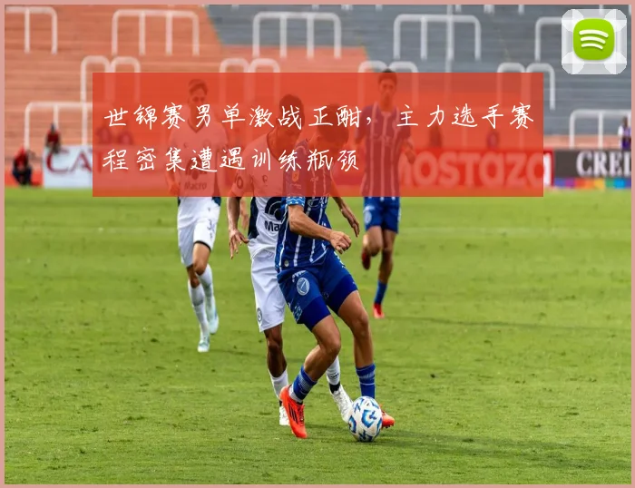 世锦赛男单激战正酣，主力选手赛程密集遭遇训练瓶颈