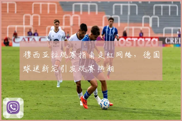 穆西亚拉观赛指南走红网络，德国球迷新宠引发观赛热潮