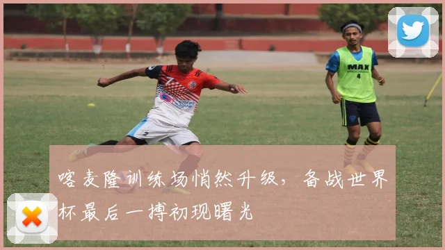 喀麦隆训练场悄然升级，备战世界杯最后一搏初现曙光